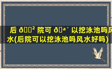 后 🌲 院可 🪴 以挖泳池吗风水(后院可以挖泳池吗风水好吗)